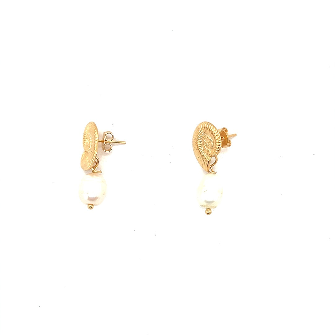Dangling Pearl Shell Earrings