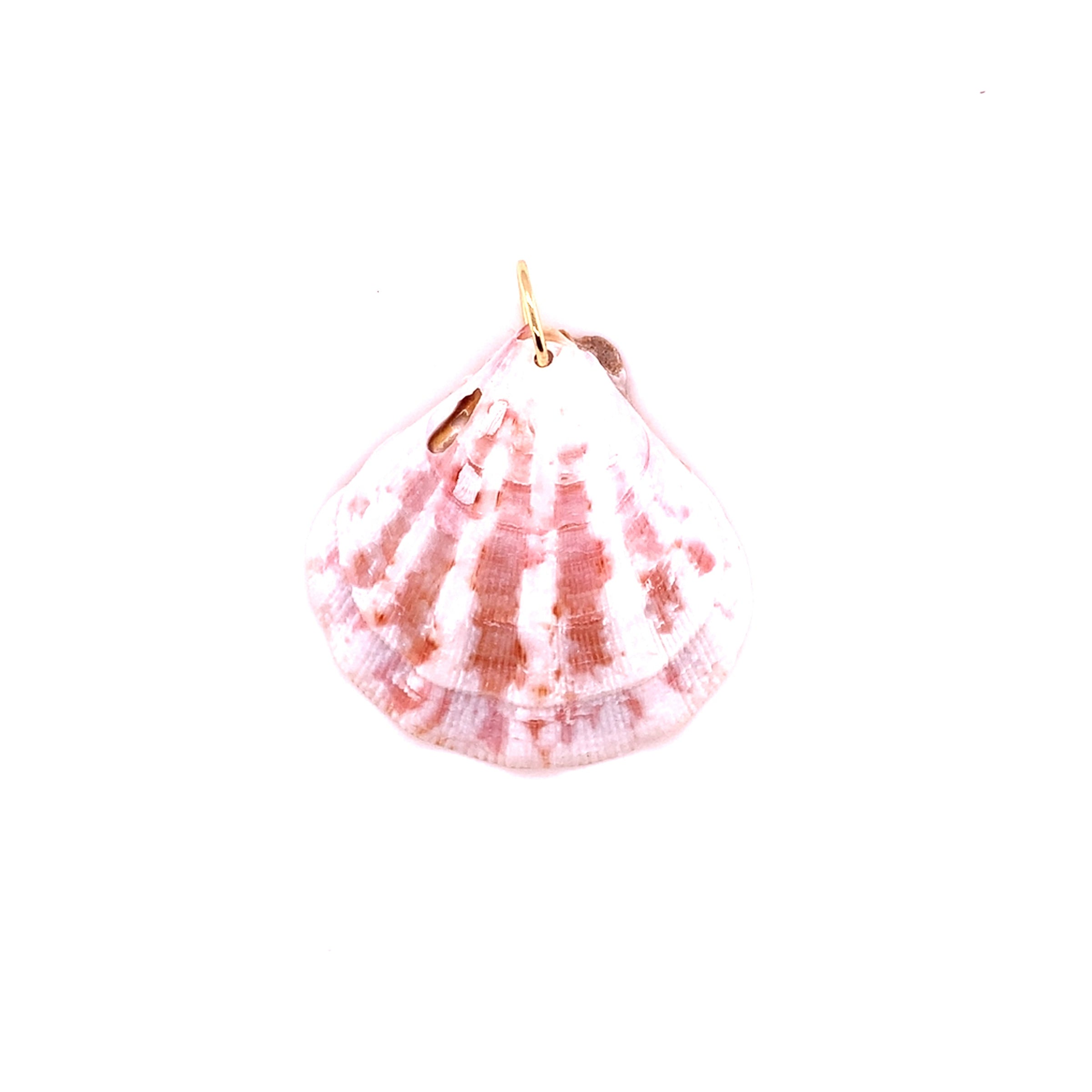 Dark Shell Charm with Jump Ring