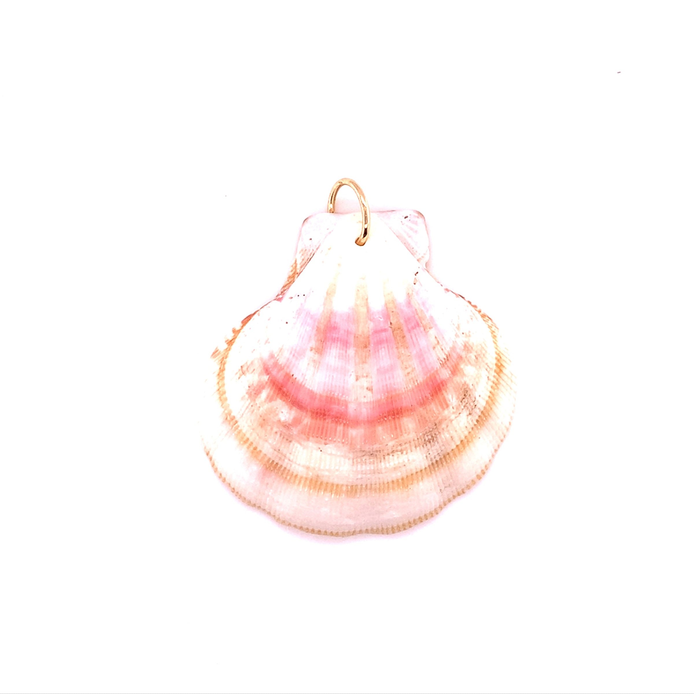 Shell Charm with Jump Ring