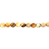 Picture Jasper Faceted Beads