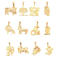 Zodiac Pendant 22mm - Gold Filled
