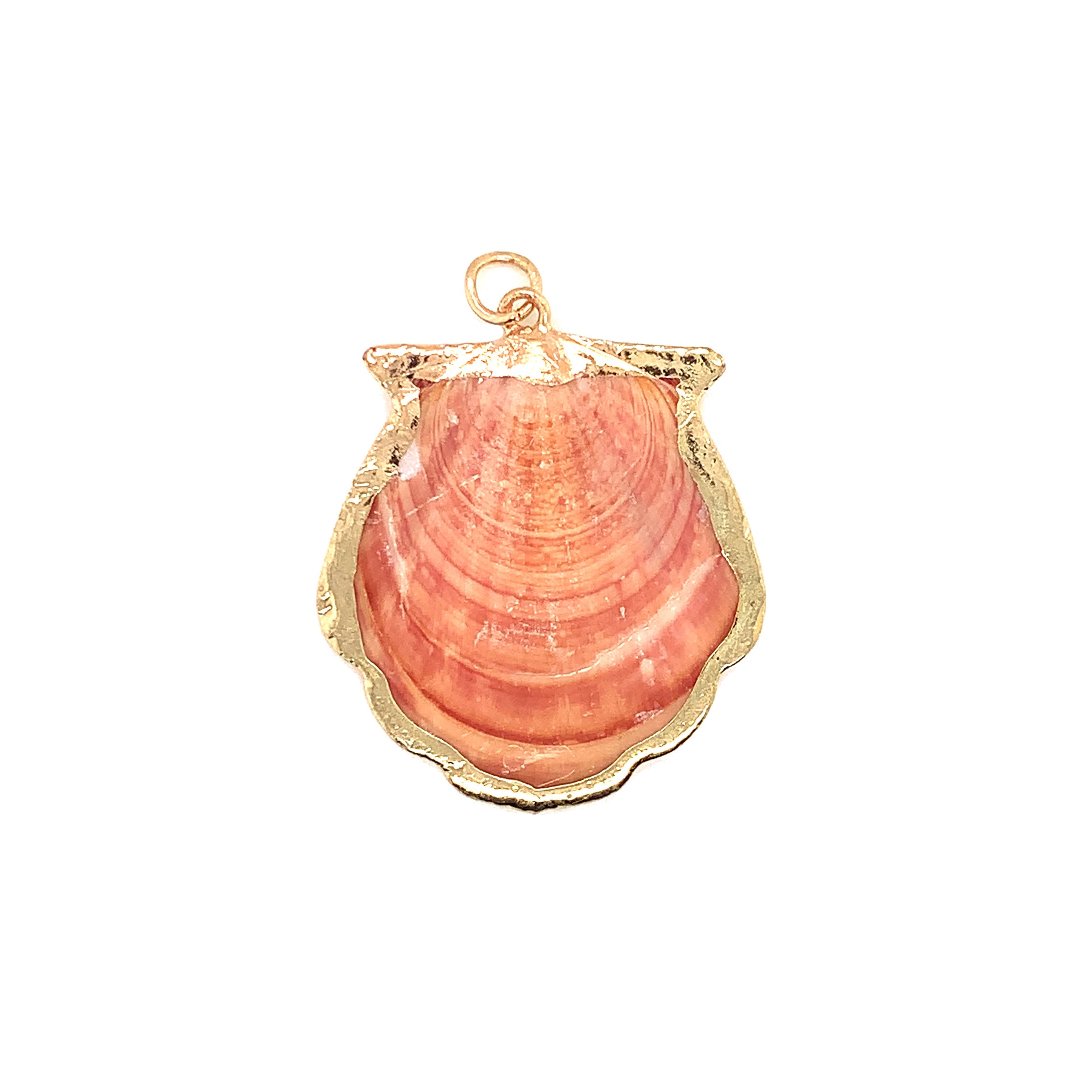 Seashell Pendant - Gold Plated