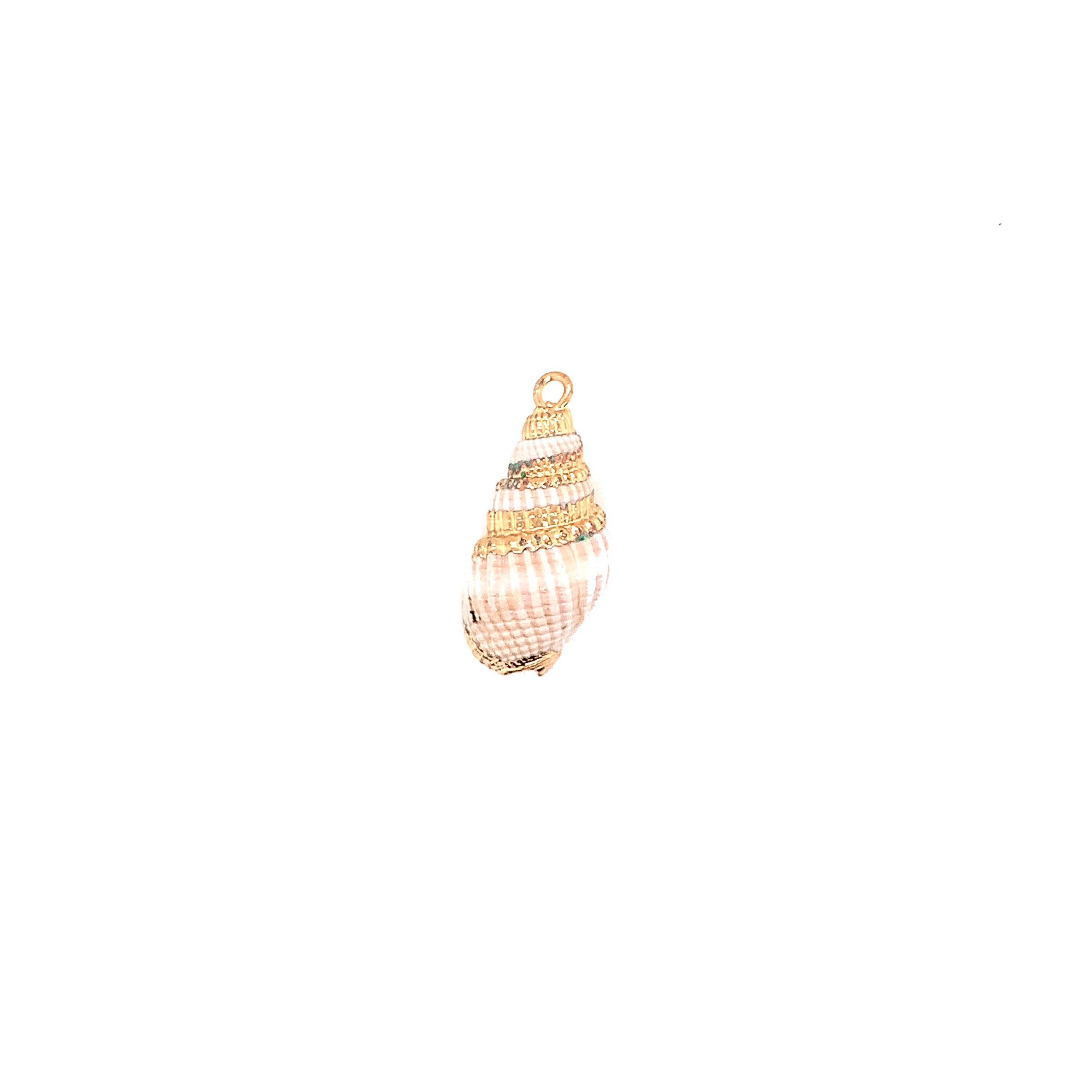 Mini Shell with Brass - Gold Plated
