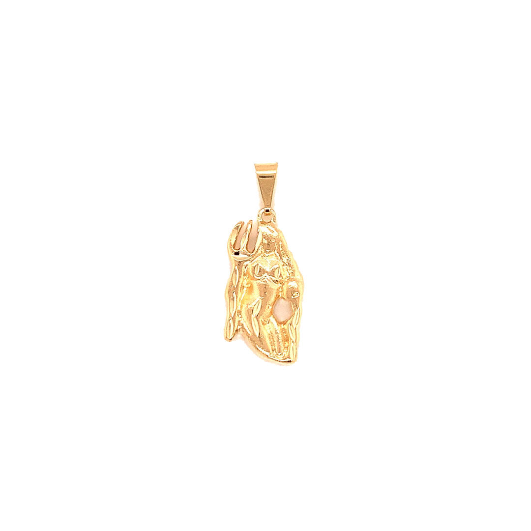 Aquarius Zodiac Pendant - Gold Filled