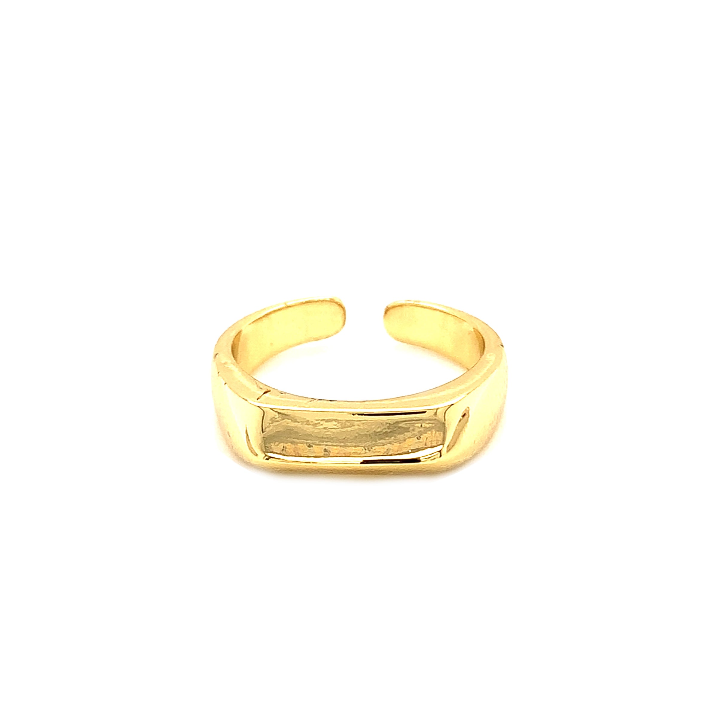 Edged Signet Ring