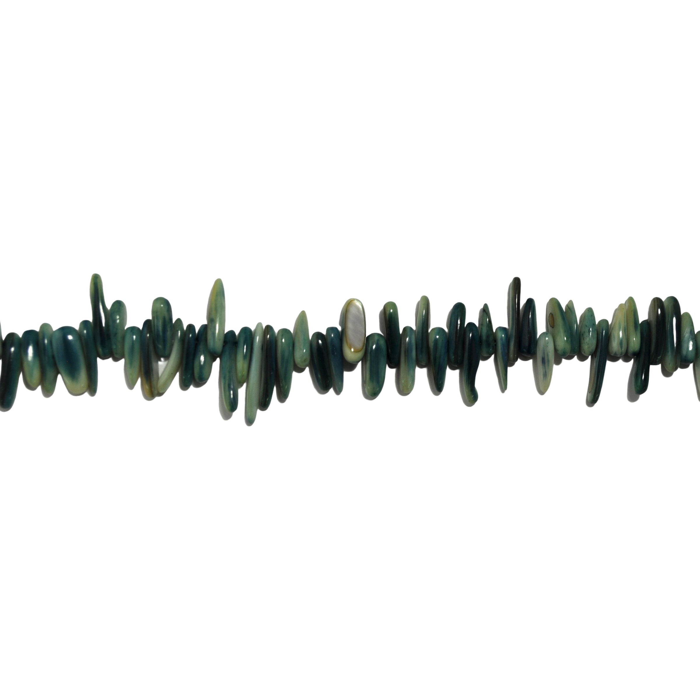 Green Dyed Shell Long Chips