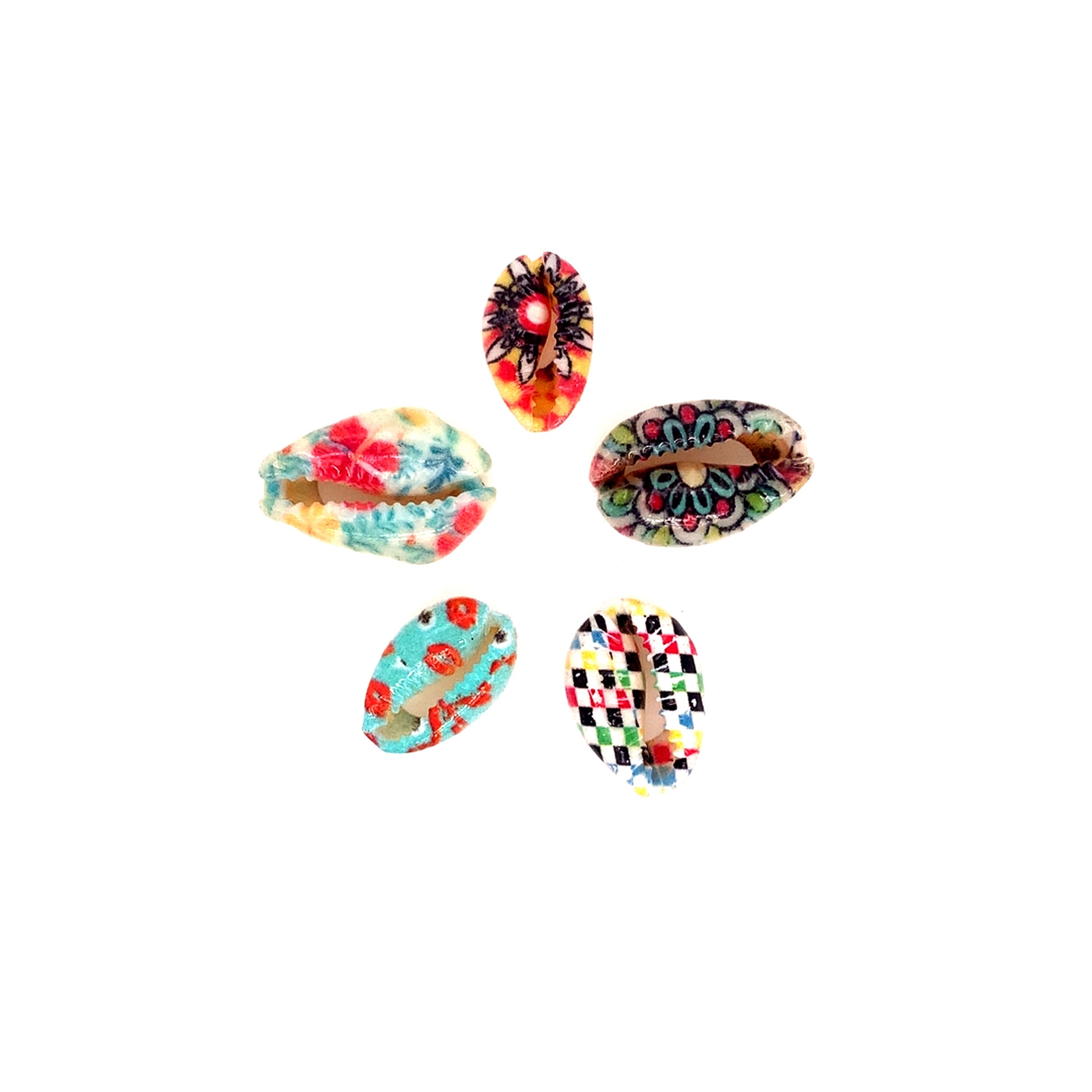 Painted Cowrie Shells