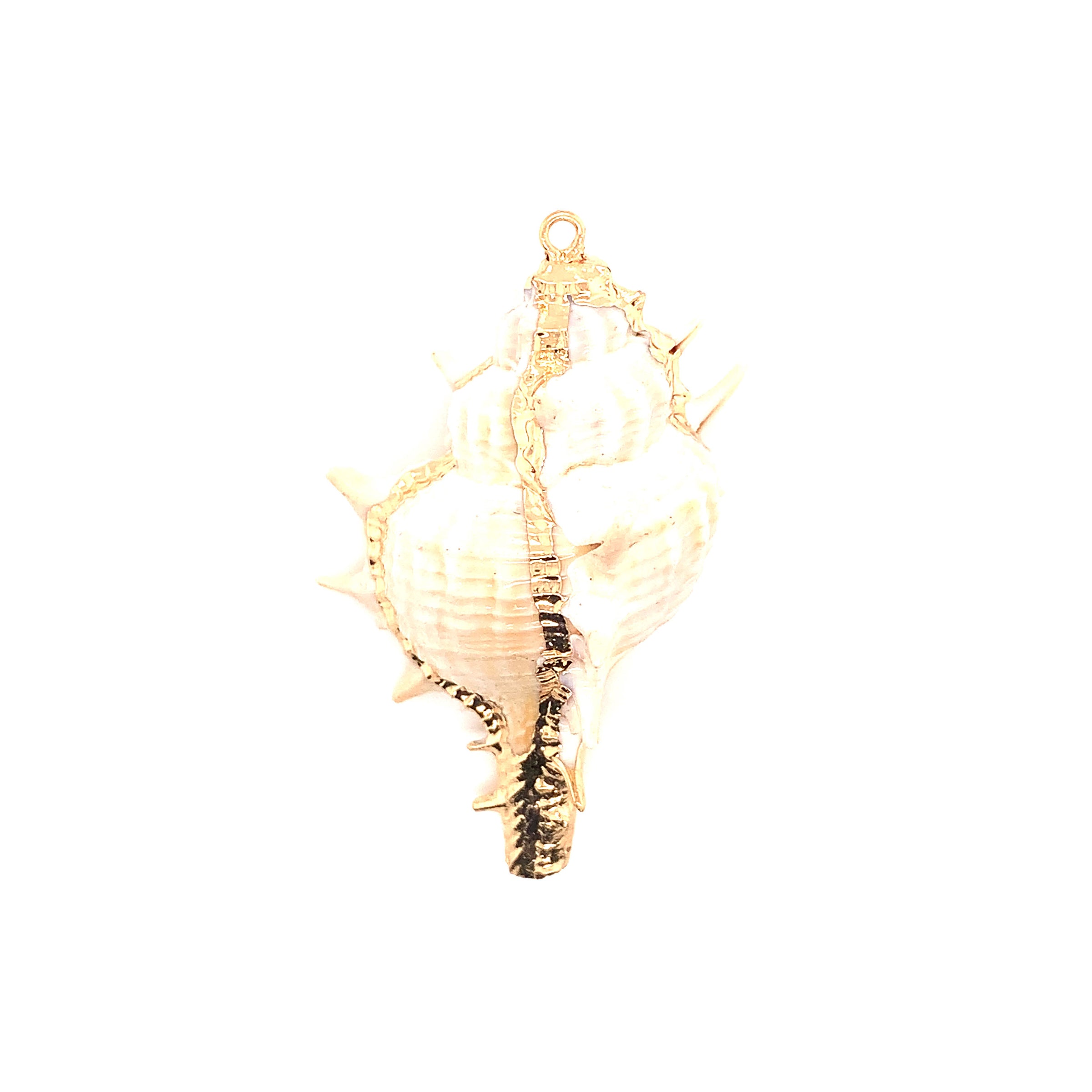 Trumpet Titon Seashell Pendant - Gold Plated