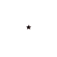 Mini Star Spacer - Black Rhodium Plated